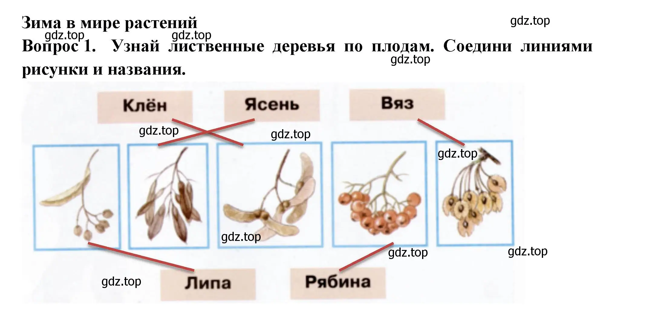 Решение номер 1 (страница 12) гдз по окружающему миру 2 класс Плешаков, Новицкая, рабочая тетрадь 2 часть