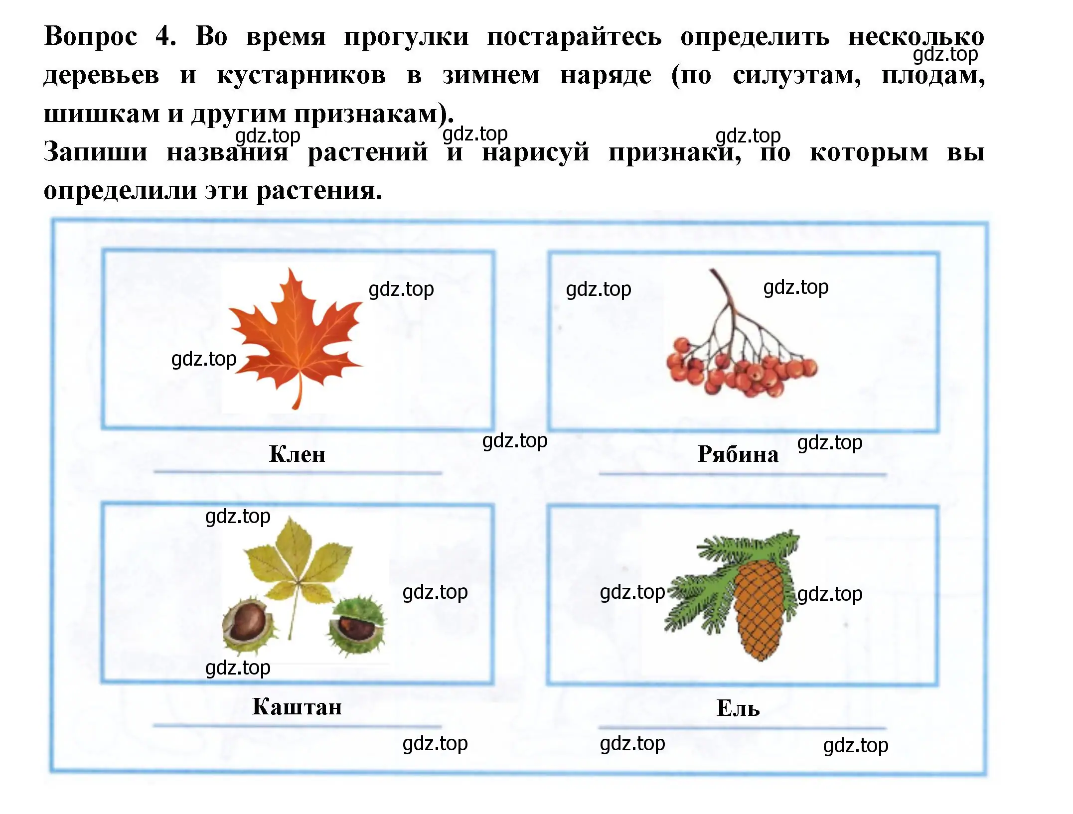 Решение номер 4 (страница 13) гдз по окружающему миру 2 класс Плешаков, Новицкая, рабочая тетрадь 2 часть