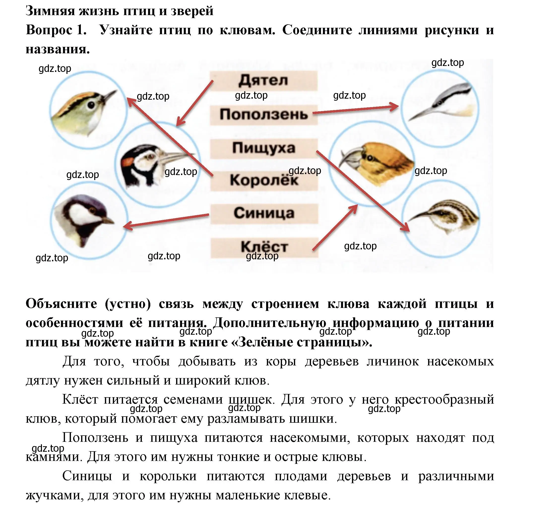 Решение номер 1 (страница 18) гдз по окружающему миру 2 класс Плешаков, Новицкая, рабочая тетрадь 2 часть