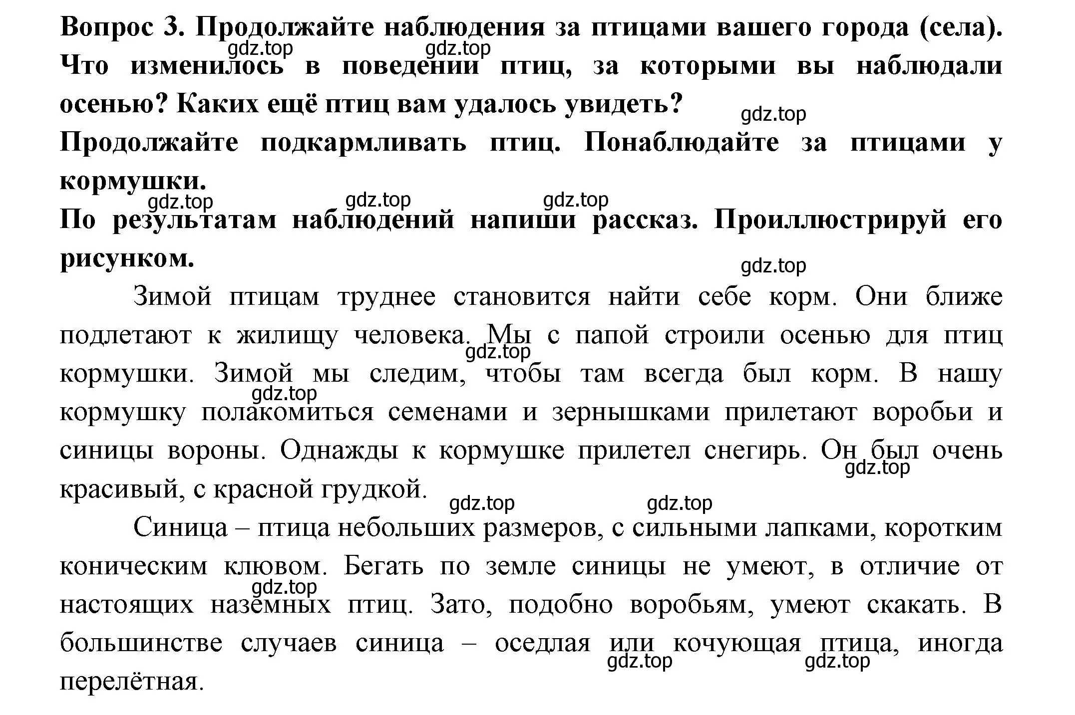 Решение номер 3 (страница 19) гдз по окружающему миру 2 класс Плешаков, Новицкая, рабочая тетрадь 2 часть