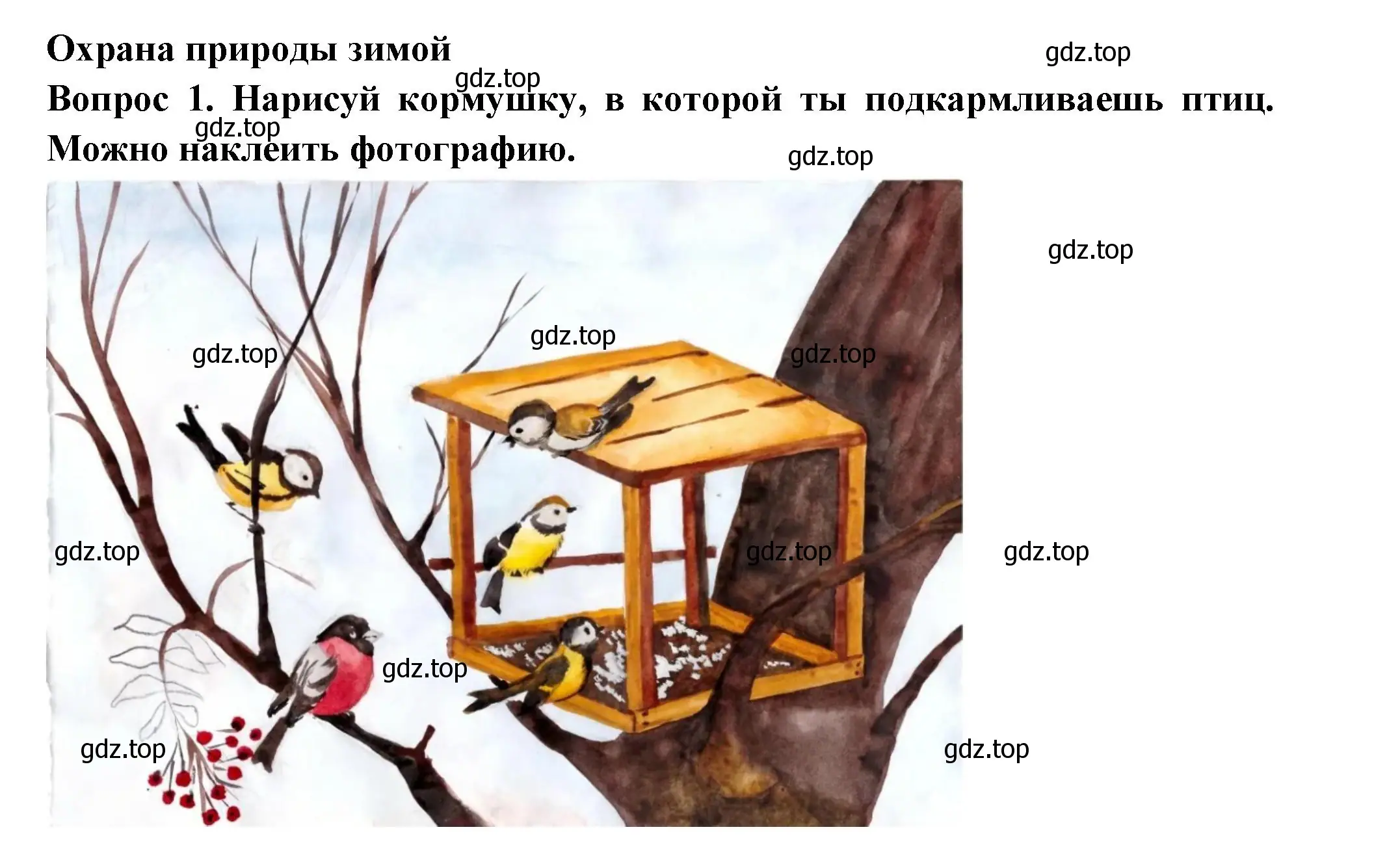 Решение номер 1 (страница 28) гдз по окружающему миру 2 класс Плешаков, Новицкая, рабочая тетрадь 2 часть