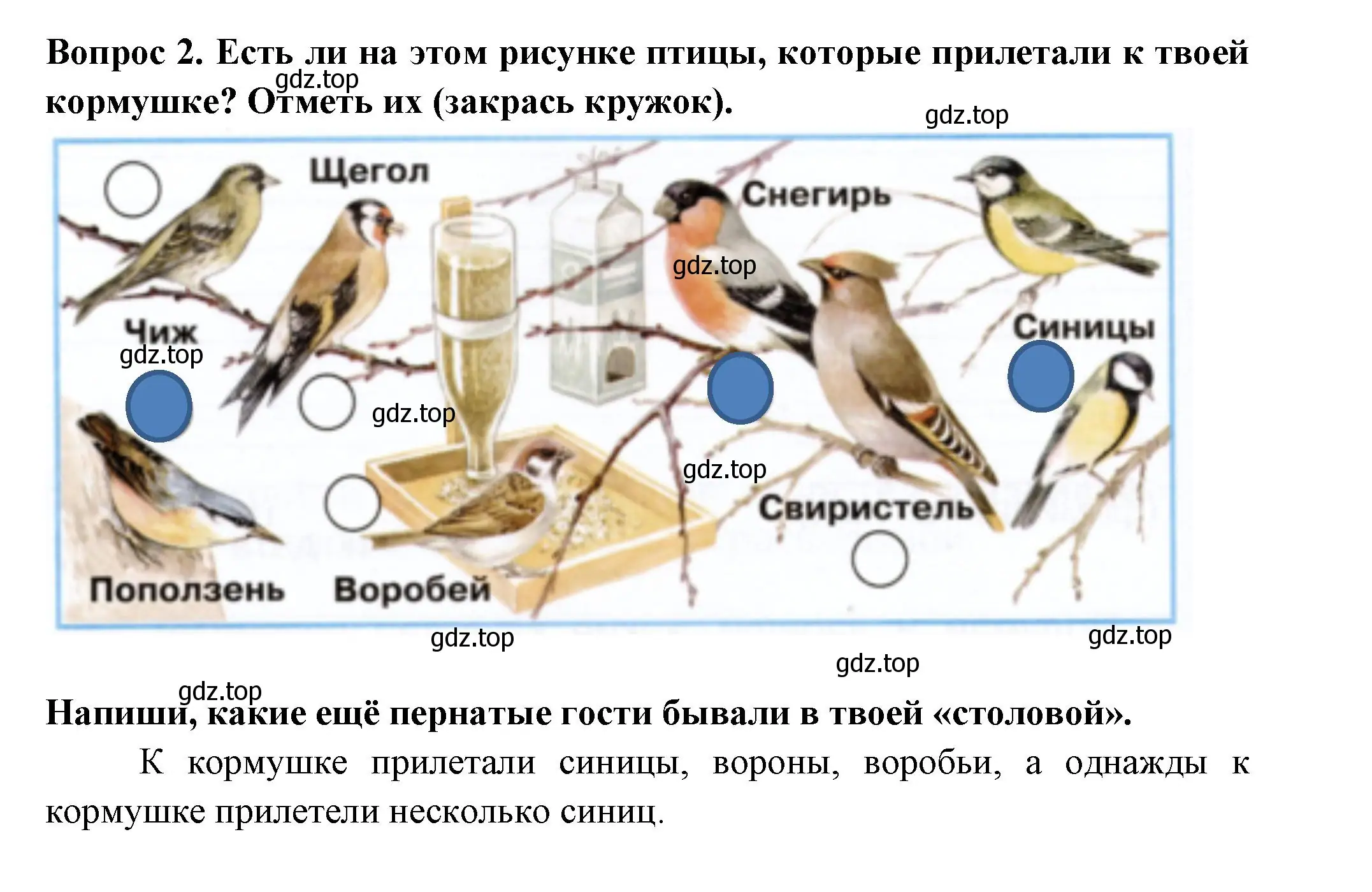 Решение номер 2 (страница 28) гдз по окружающему миру 2 класс Плешаков, Новицкая, рабочая тетрадь 2 часть