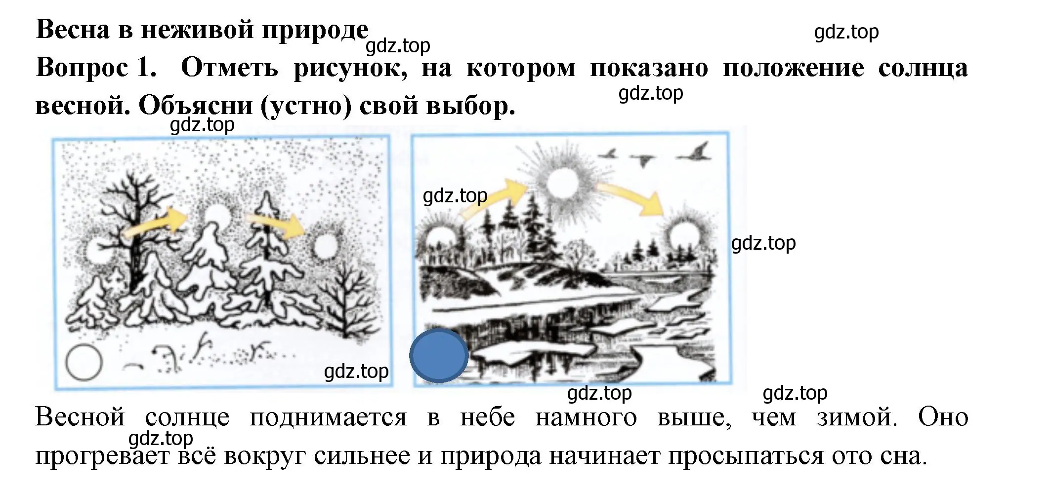 Решение номер 1 (страница 34) гдз по окружающему миру 2 класс Плешаков, Новицкая, рабочая тетрадь 2 часть