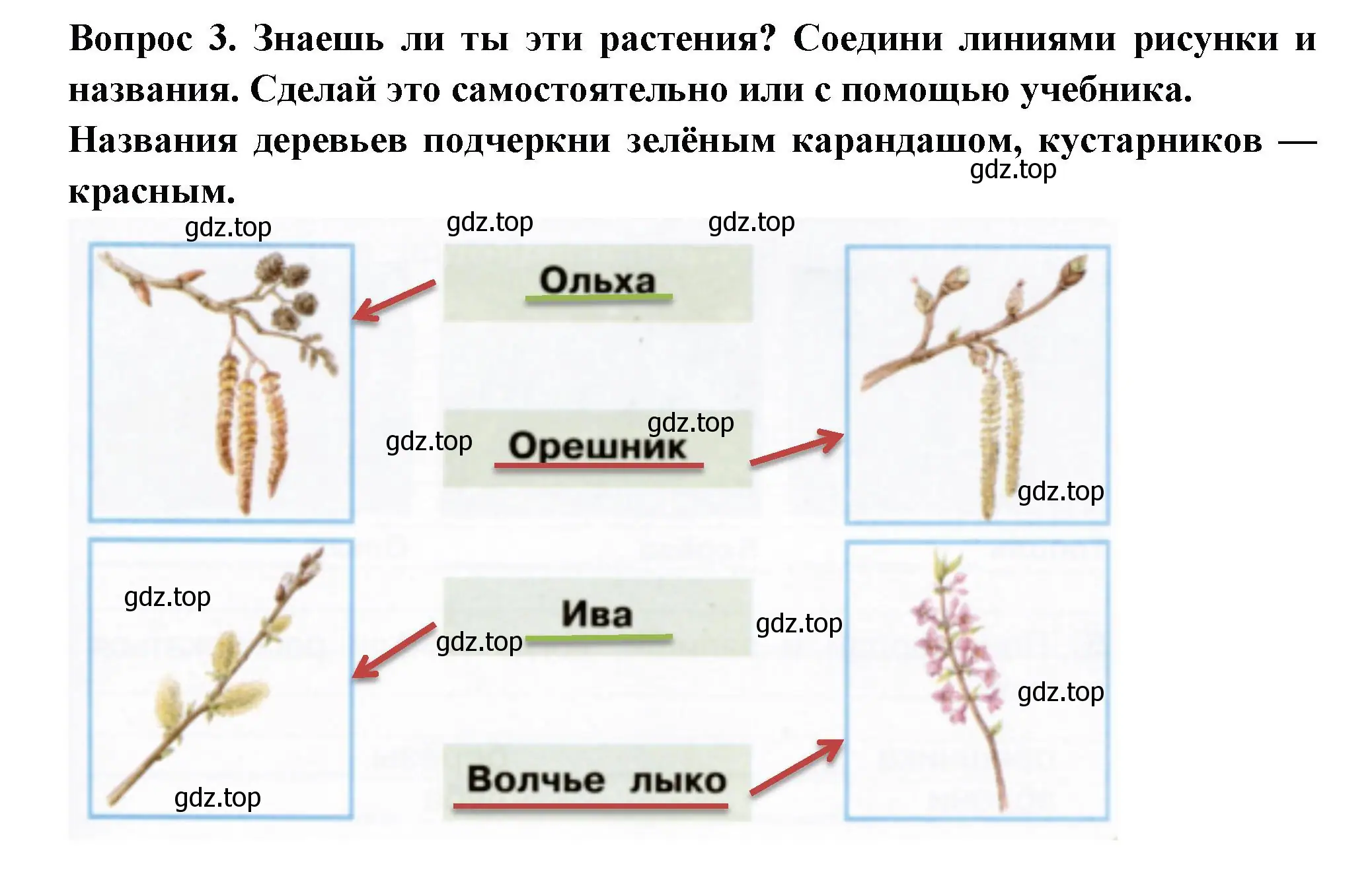 Решение номер 3 (страница 41) гдз по окружающему миру 2 класс Плешаков, Новицкая, рабочая тетрадь 2 часть