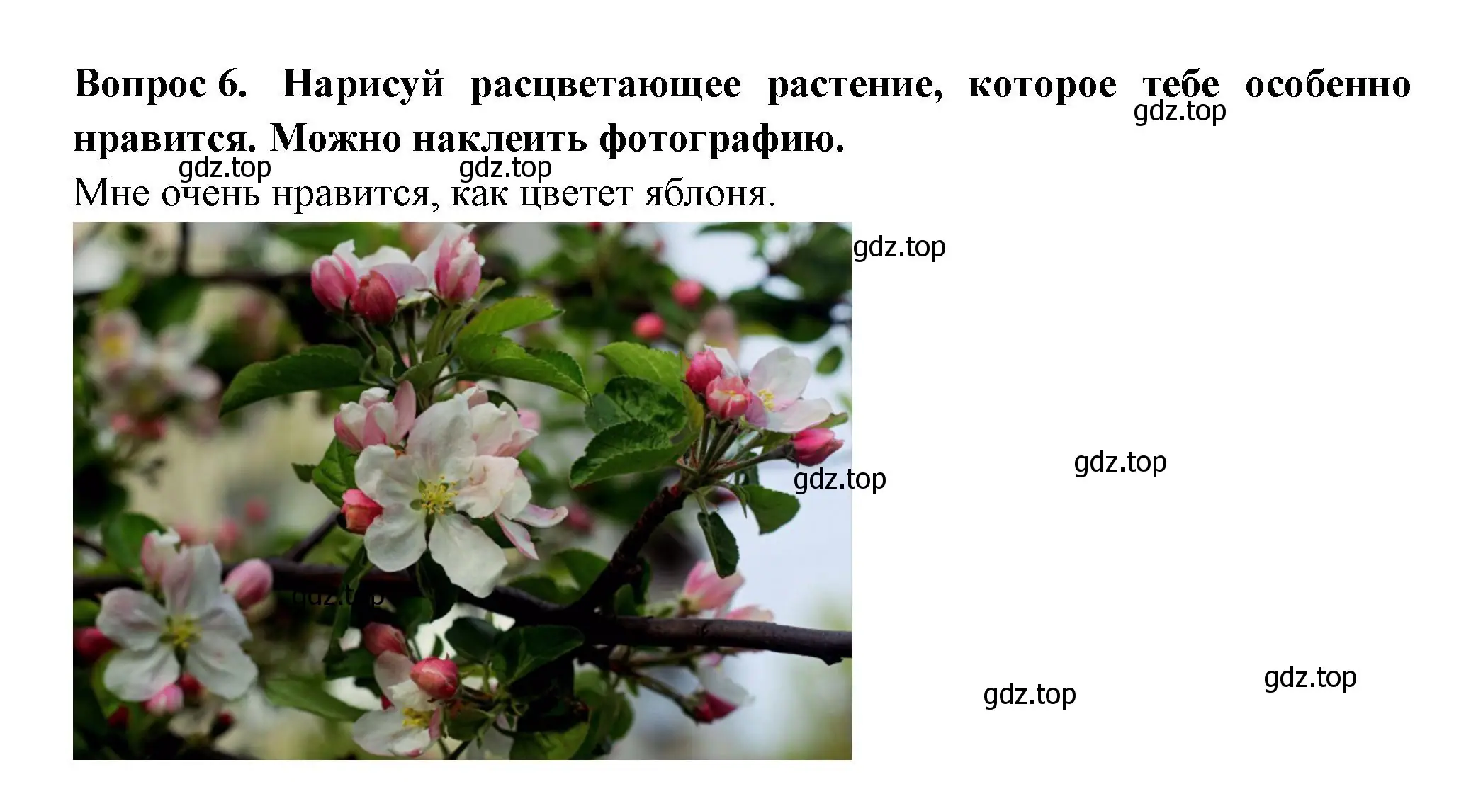 Решение номер 6 (страница 43) гдз по окружающему миру 2 класс Плешаков, Новицкая, рабочая тетрадь 2 часть