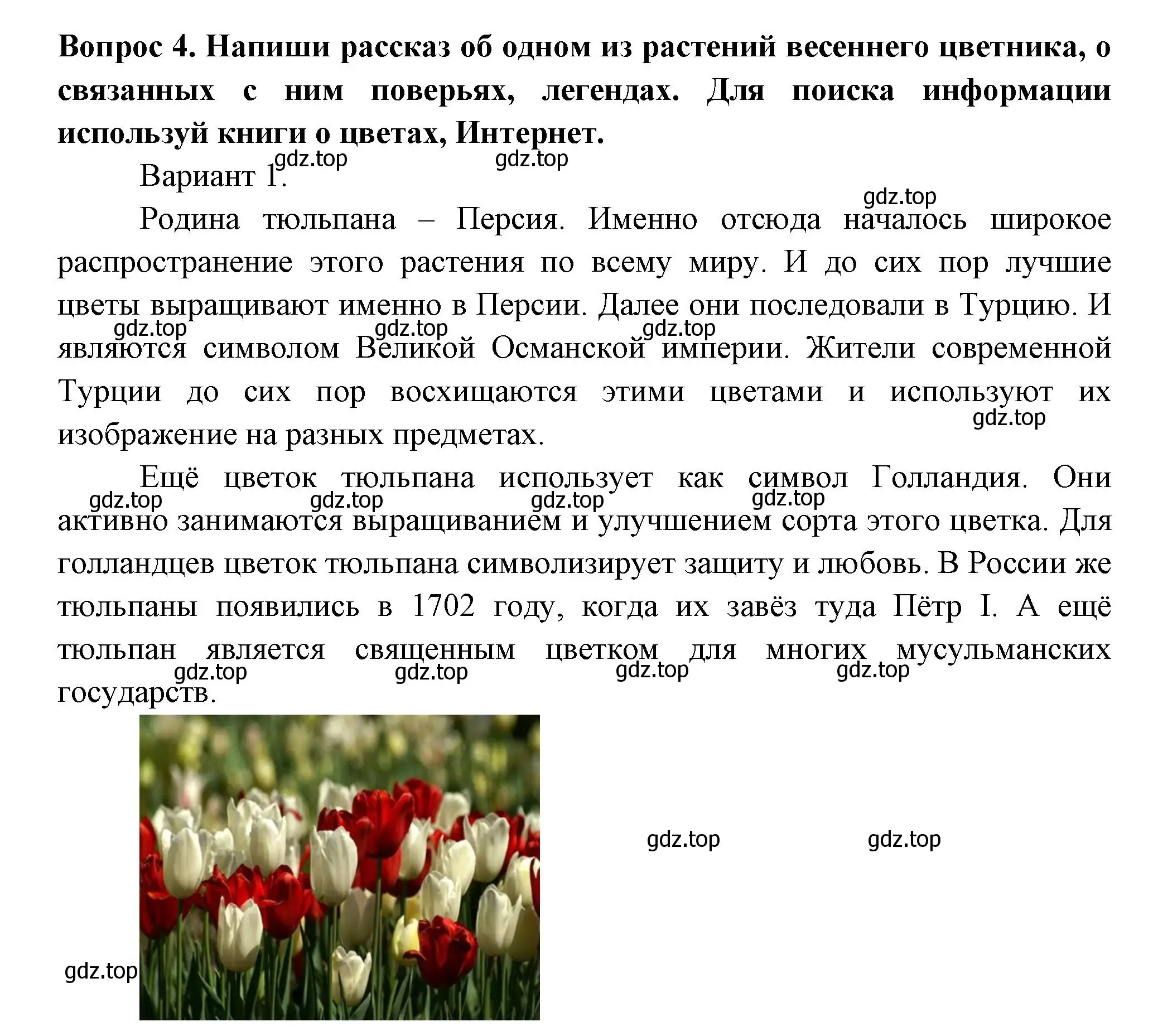 Решение номер 4 (страница 45) гдз по окружающему миру 2 класс Плешаков, Новицкая, рабочая тетрадь 2 часть