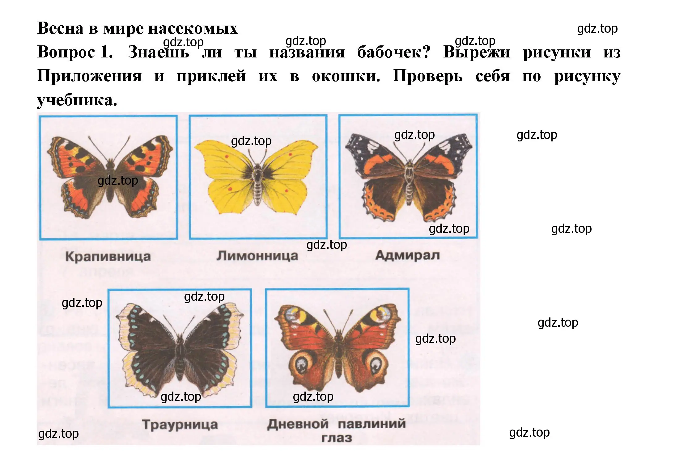 Решение номер 1 (страница 46) гдз по окружающему миру 2 класс Плешаков, Новицкая, рабочая тетрадь 2 часть