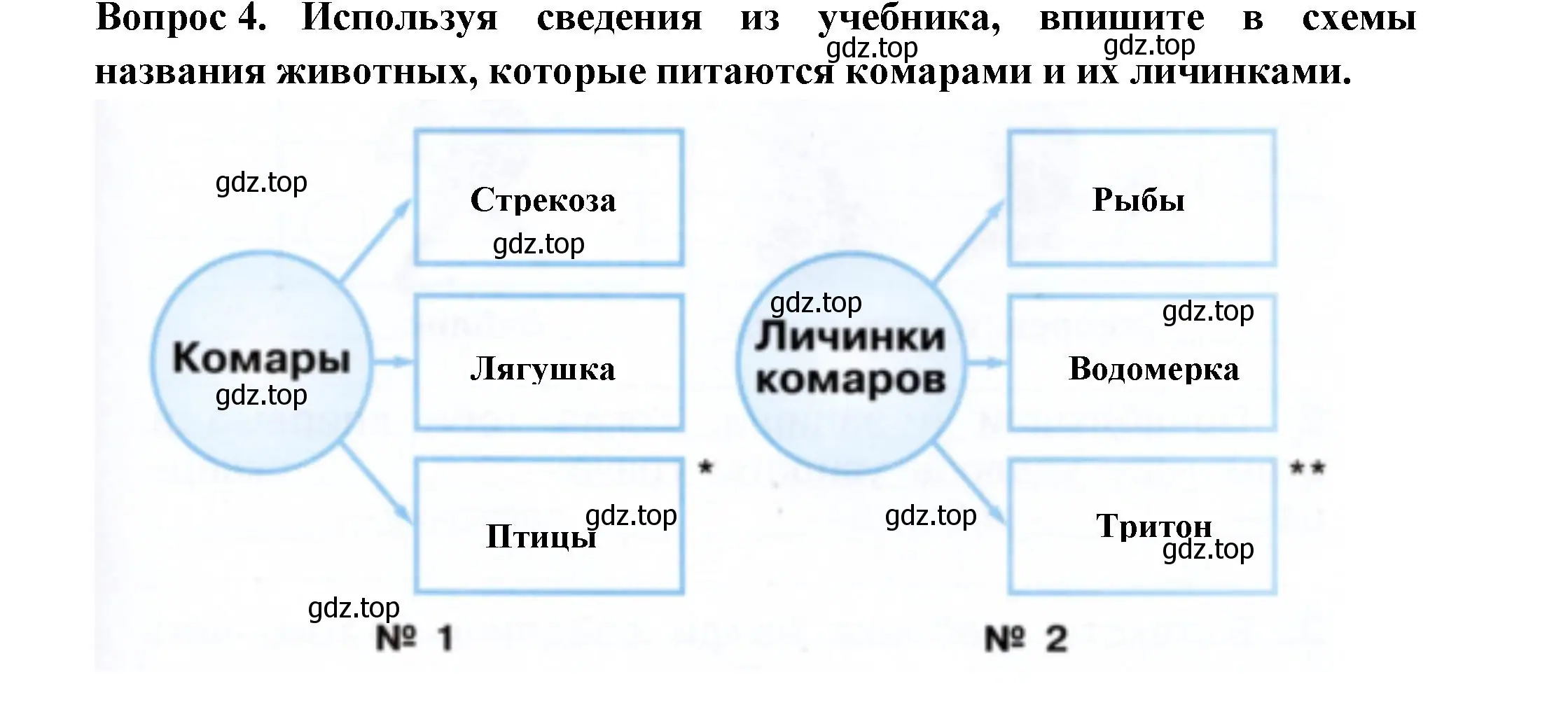 Решение номер 4 (страница 47) гдз по окружающему миру 2 класс Плешаков, Новицкая, рабочая тетрадь 2 часть