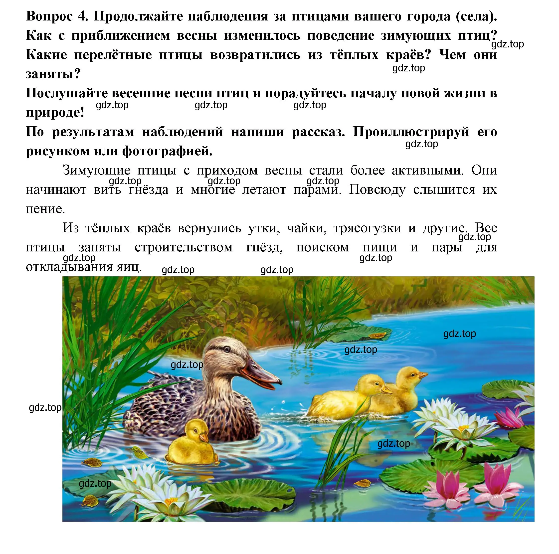 Решение номер 4 (страница 49) гдз по окружающему миру 2 класс Плешаков, Новицкая, рабочая тетрадь 2 часть