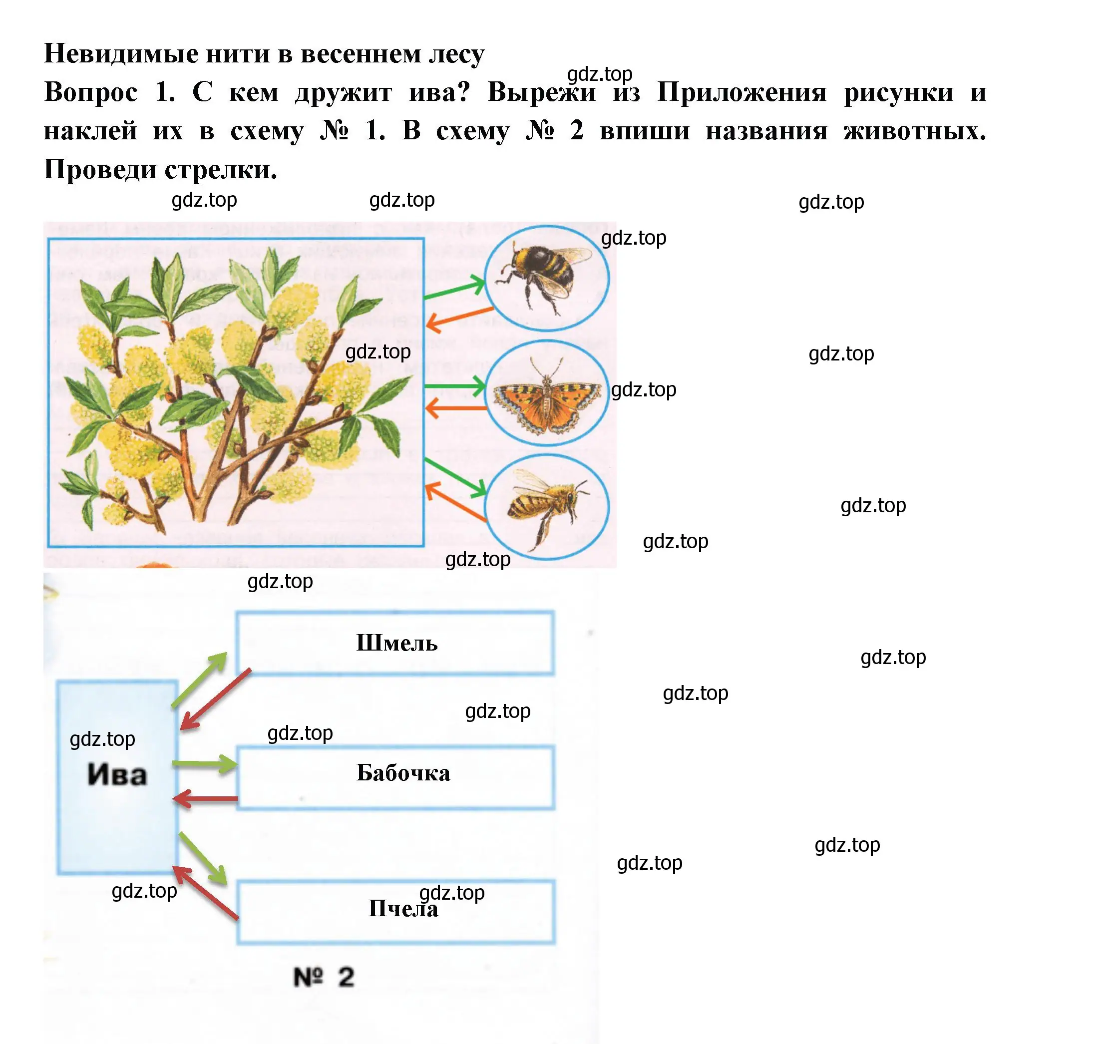 Решение номер 1 (страница 50) гдз по окружающему миру 2 класс Плешаков, Новицкая, рабочая тетрадь 2 часть