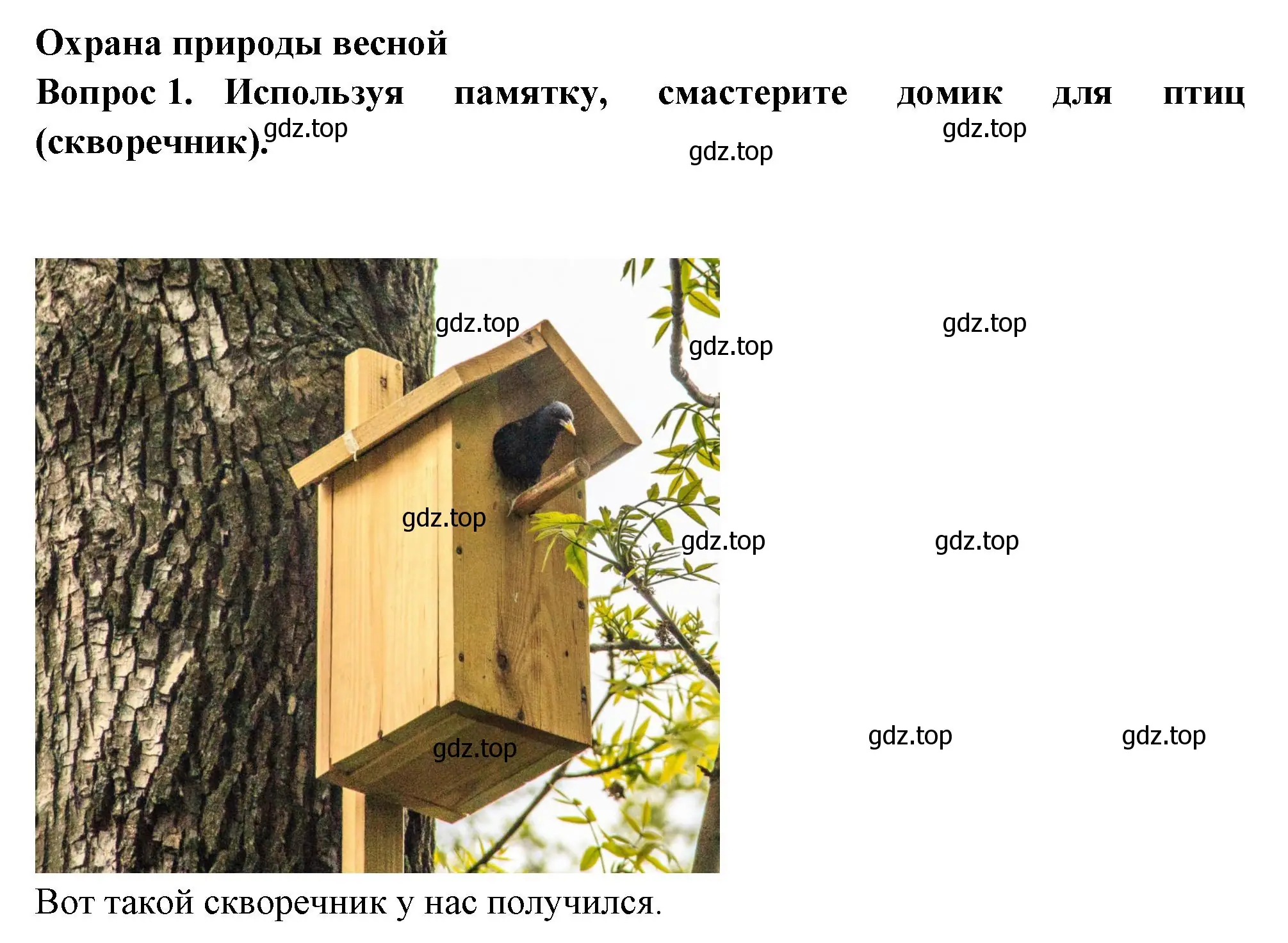 Решение номер 1 (страница 58) гдз по окружающему миру 2 класс Плешаков, Новицкая, рабочая тетрадь 2 часть