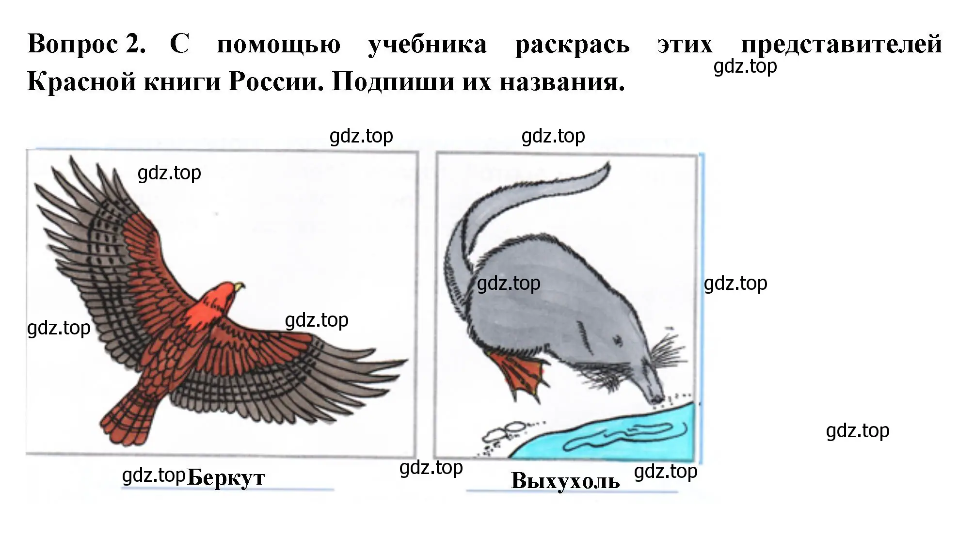 Решение номер 2 (страница 59) гдз по окружающему миру 2 класс Плешаков, Новицкая, рабочая тетрадь 2 часть