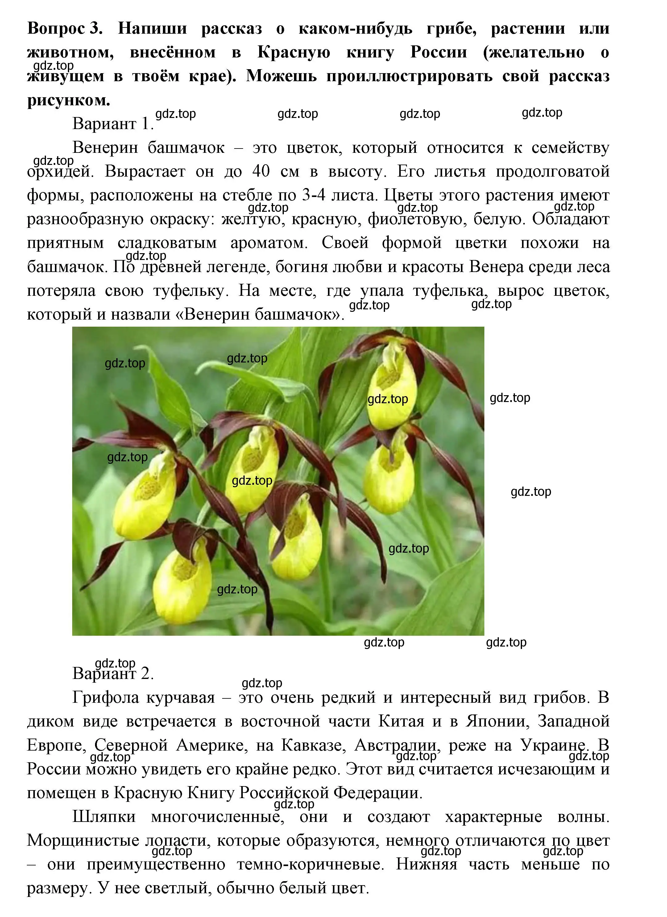 Решение номер 3 (страница 59) гдз по окружающему миру 2 класс Плешаков, Новицкая, рабочая тетрадь 2 часть