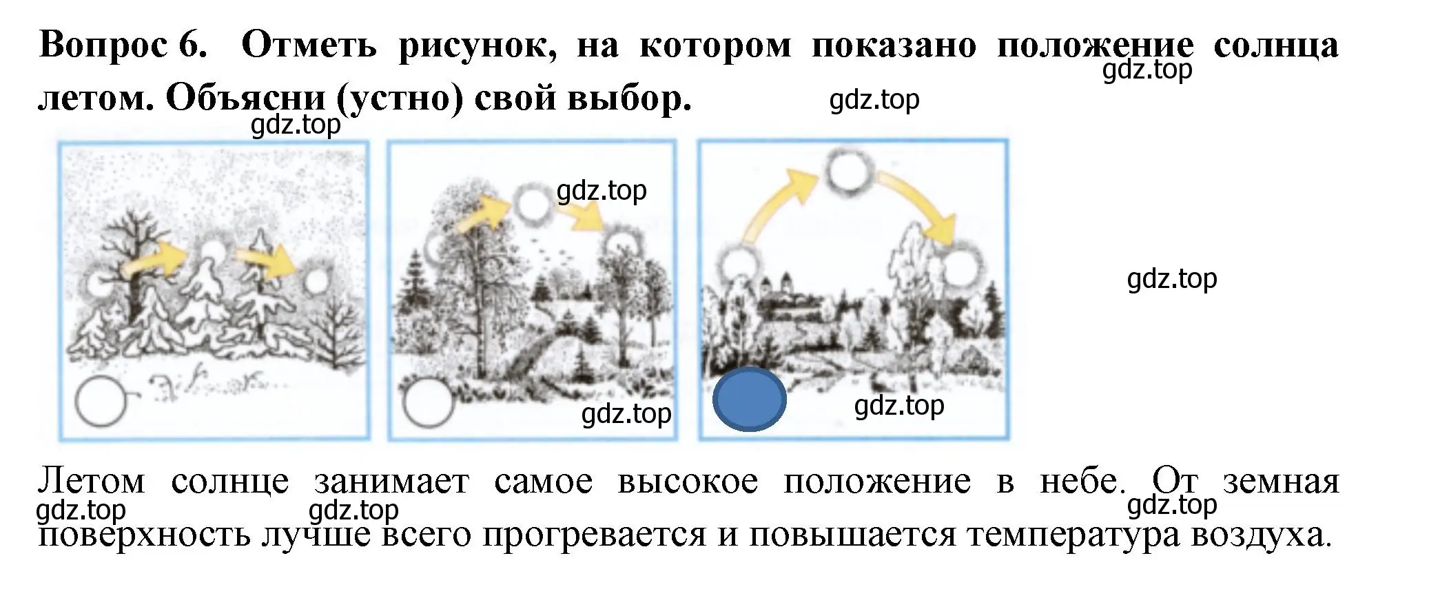 Решение номер 6 (страница 64) гдз по окружающему миру 2 класс Плешаков, Новицкая, рабочая тетрадь 2 часть