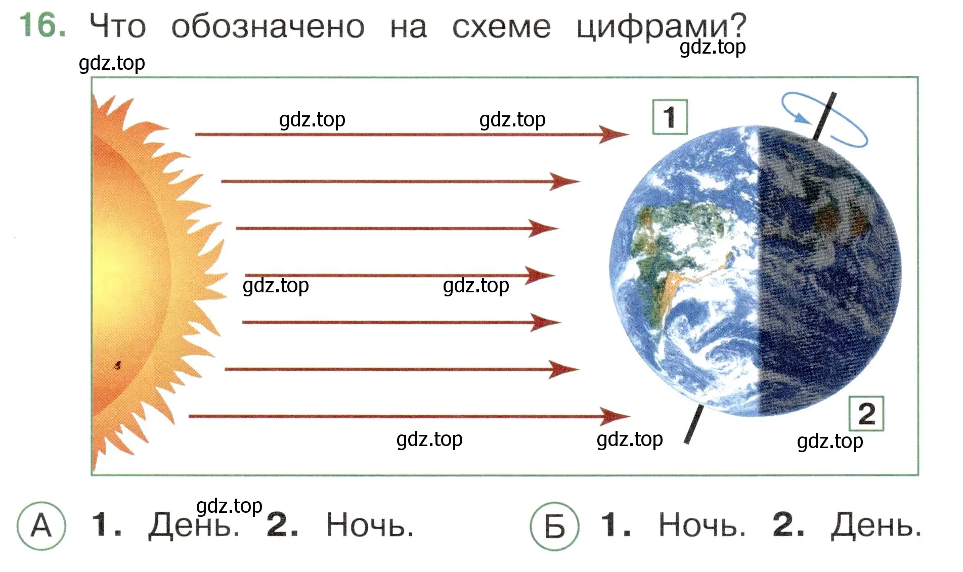 Условие номер 16 (страница 7) гдз по окружающему миру 2 класс Плешаков, Новицкая, тесты