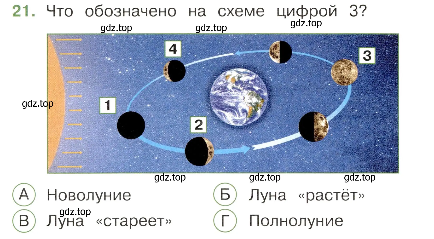 Условие номер 21 (страница 8) гдз по окружающему миру 2 класс Плешаков, Новицкая, тесты