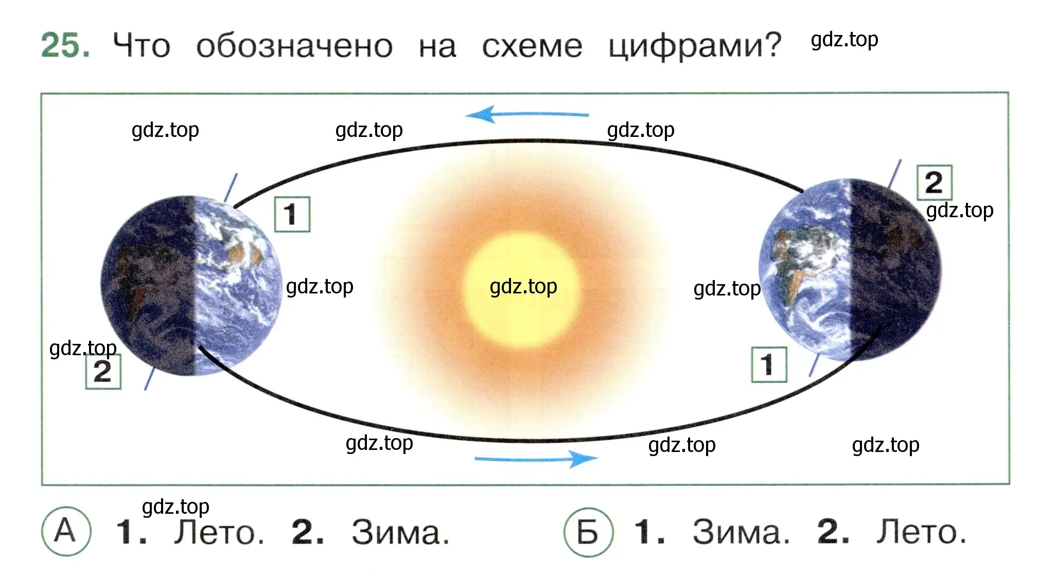 Условие номер 25 (страница 9) гдз по окружающему миру 2 класс Плешаков, Новицкая, тесты