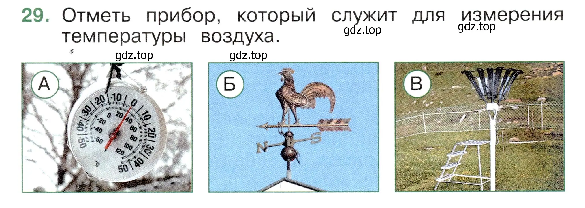 Условие номер 29 (страница 11) гдз по окружающему миру 2 класс Плешаков, Новицкая, тесты