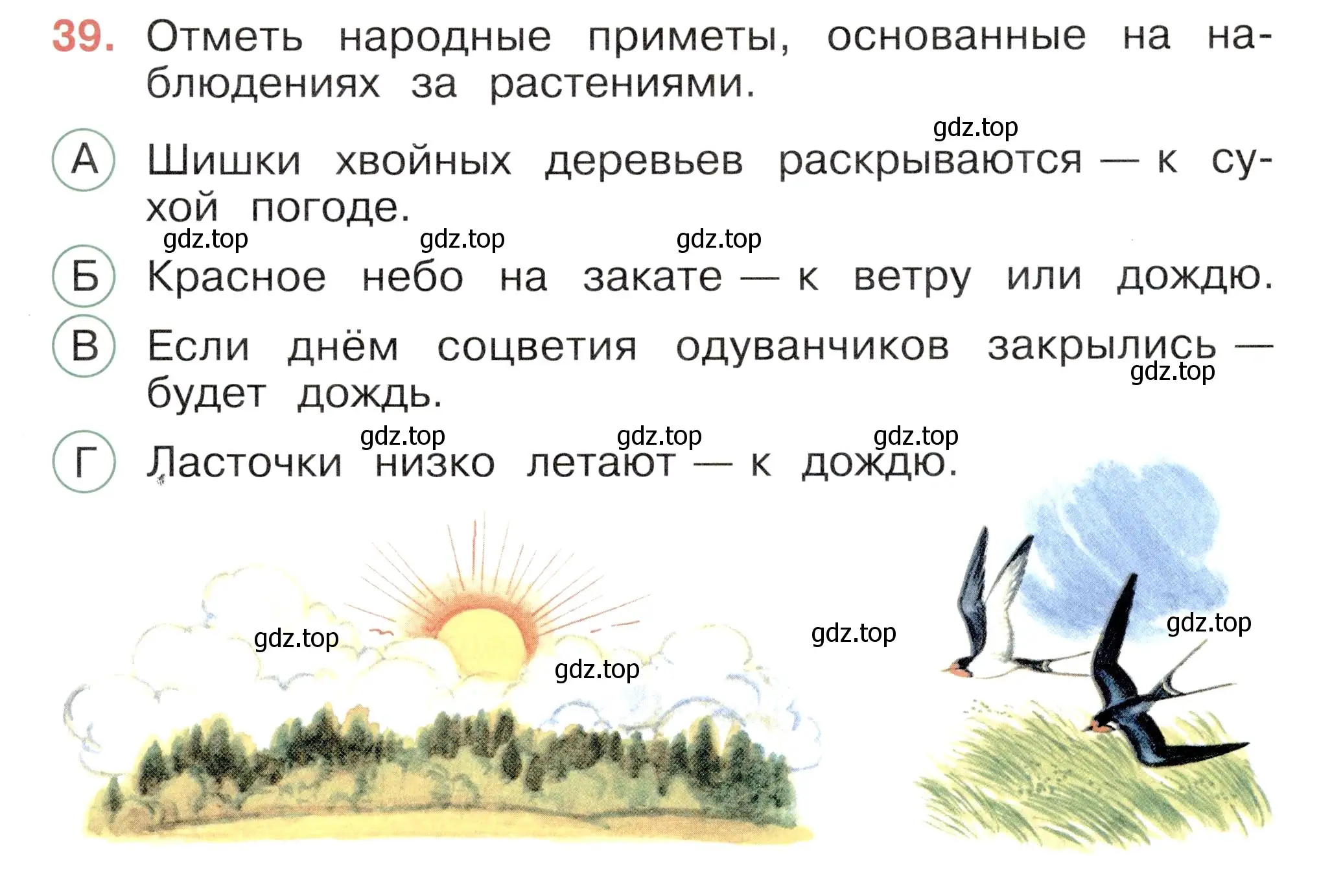 Условие номер 39 (страница 15) гдз по окружающему миру 2 класс Плешаков, Новицкая, тесты