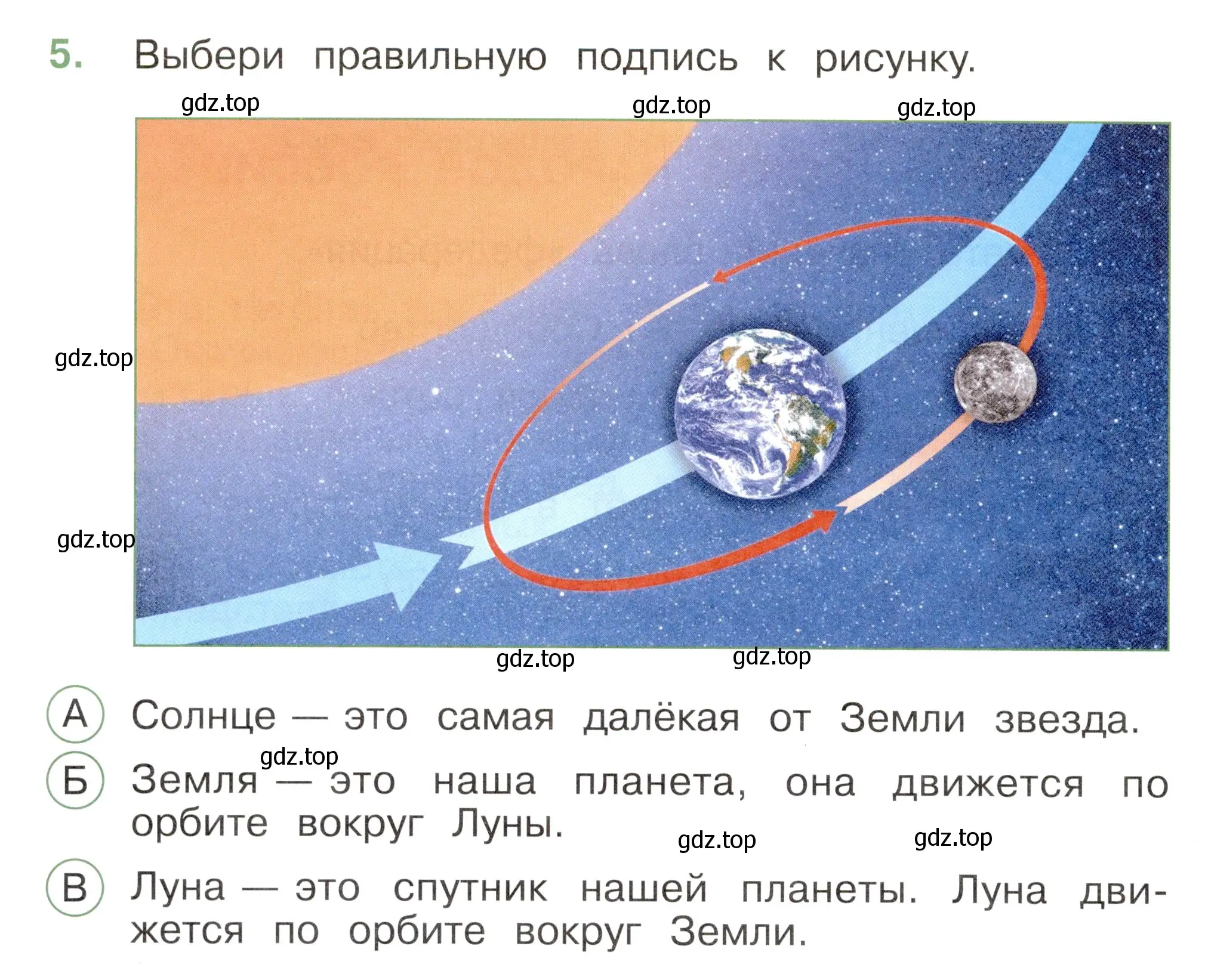 Условие номер 5 (страница 4) гдз по окружающему миру 2 класс Плешаков, Новицкая, тесты