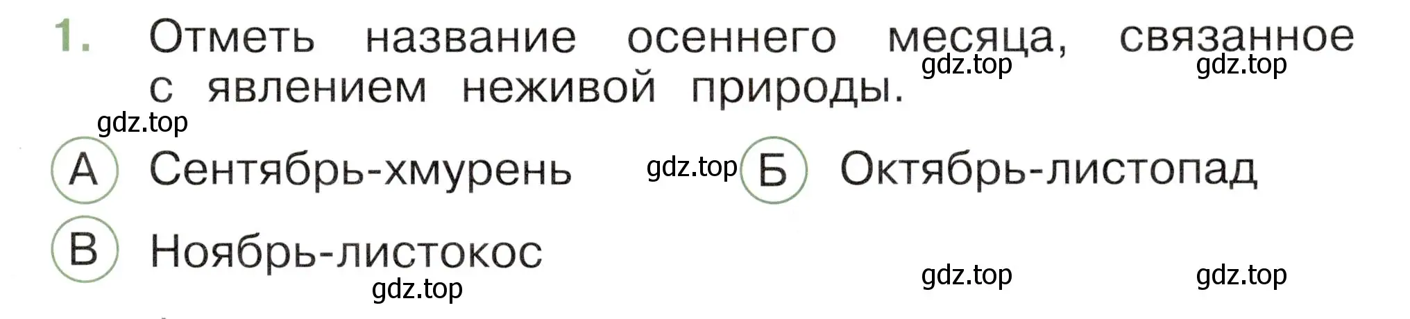 Условие номер 1 (страница 17) гдз по окружающему миру 2 класс Плешаков, Новицкая, тесты