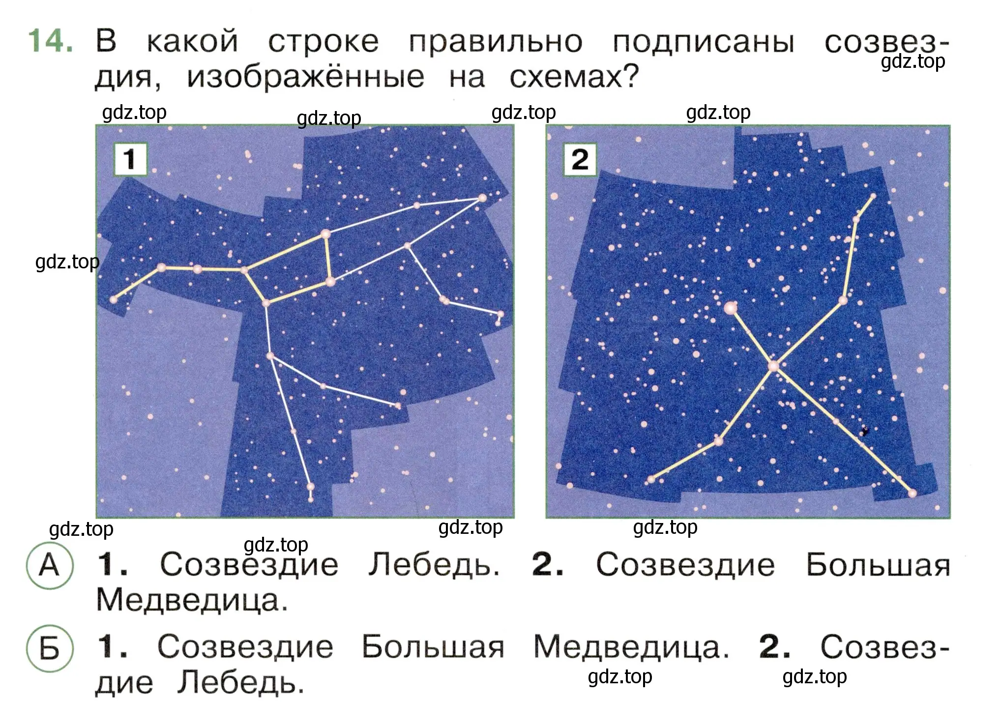 Условие номер 14 (страница 20) гдз по окружающему миру 2 класс Плешаков, Новицкая, тесты