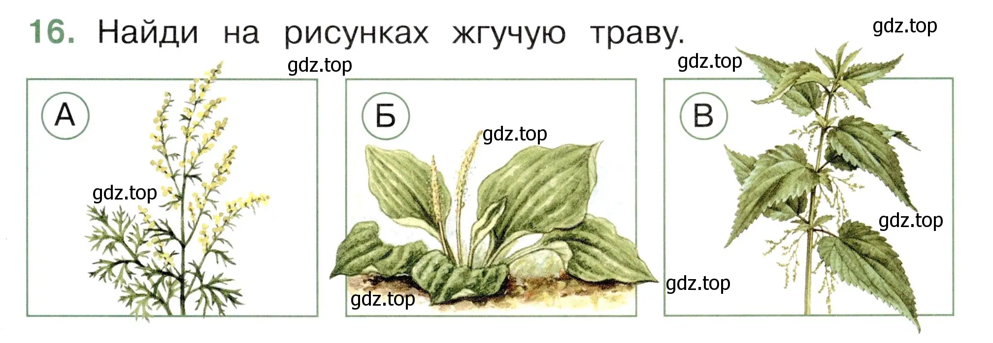 Условие номер 16 (страница 21) гдз по окружающему миру 2 класс Плешаков, Новицкая, тесты