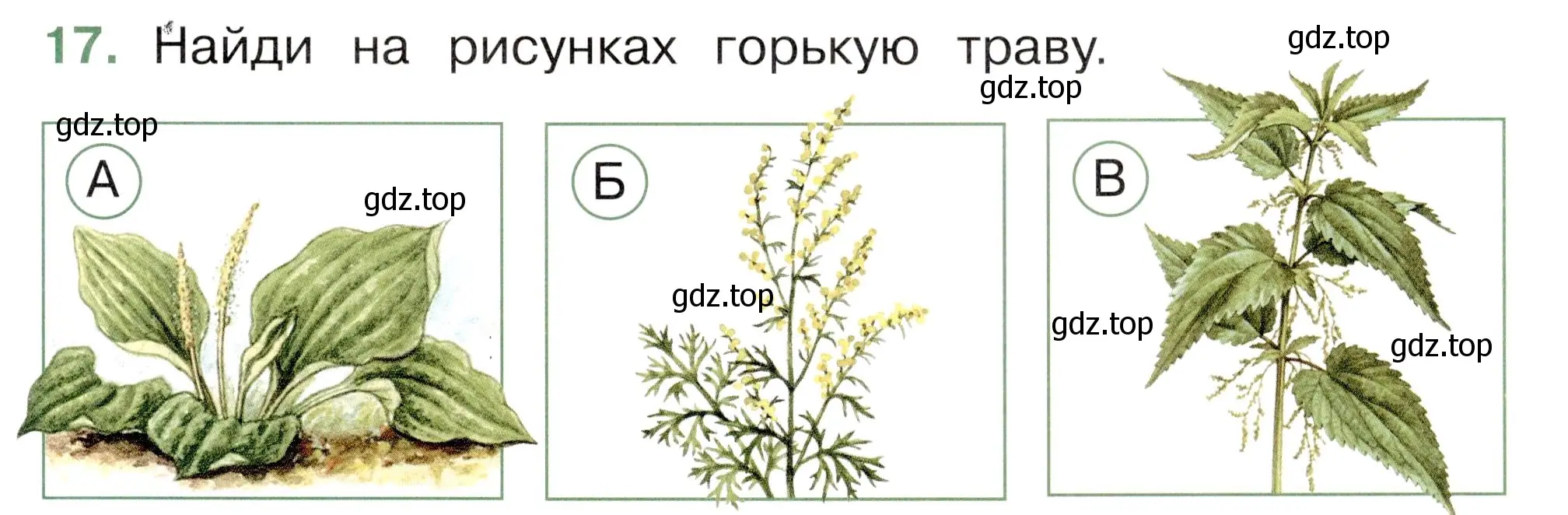 Условие номер 17 (страница 21) гдз по окружающему миру 2 класс Плешаков, Новицкая, тесты