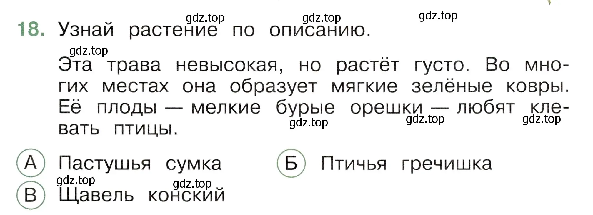 Условие номер 18 (страница 21) гдз по окружающему миру 2 класс Плешаков, Новицкая, тесты