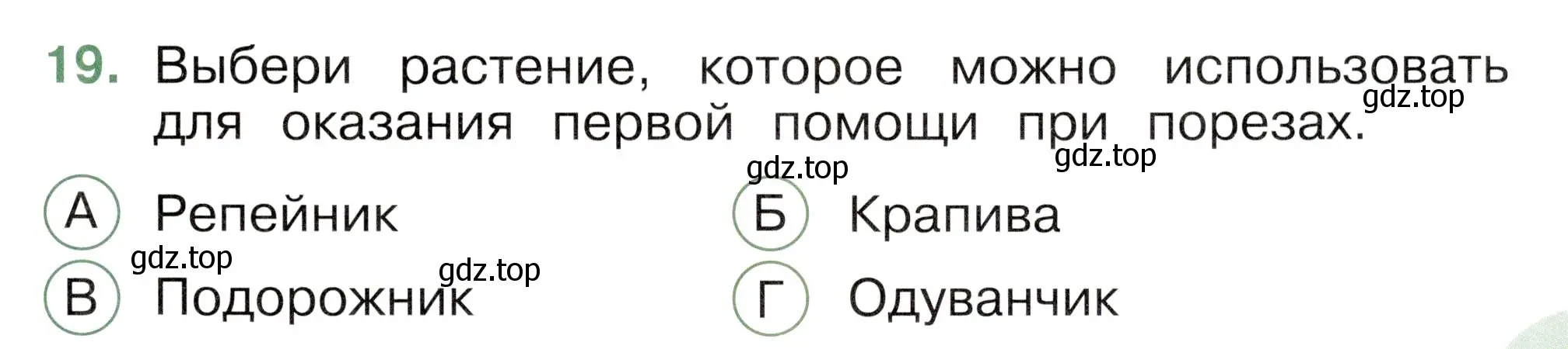 Условие номер 19 (страница 21) гдз по окружающему миру 2 класс Плешаков, Новицкая, тесты