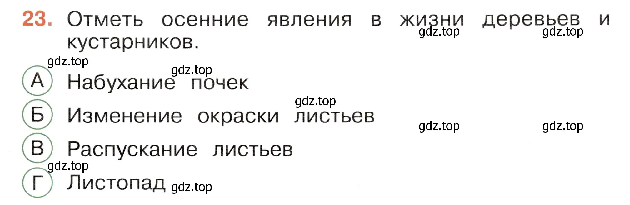 Условие номер 23 (страница 23) гдз по окружающему миру 2 класс Плешаков, Новицкая, тесты