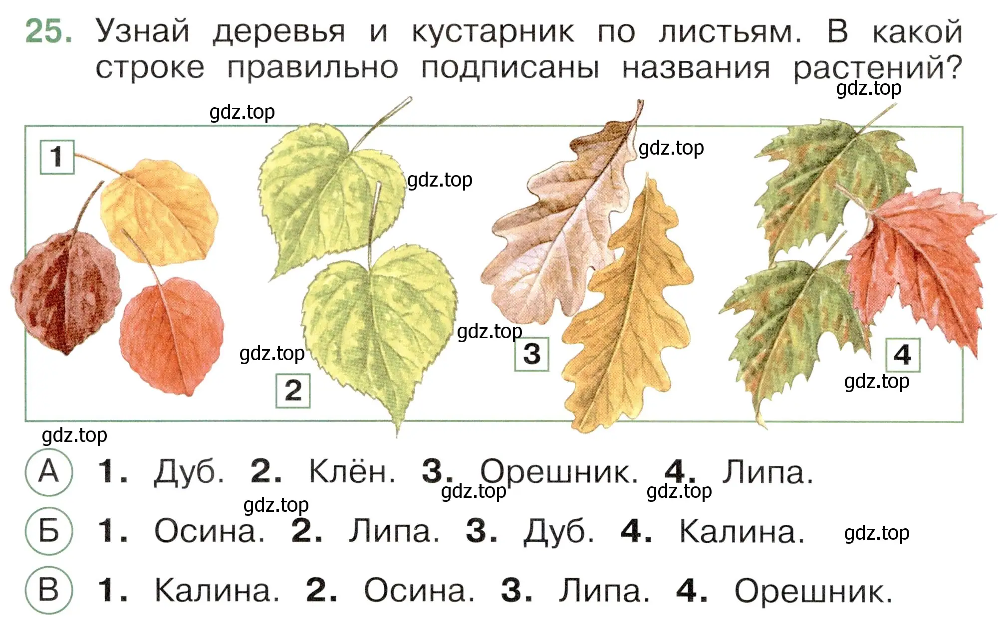 Условие номер 25 (страница 24) гдз по окружающему миру 2 класс Плешаков, Новицкая, тесты