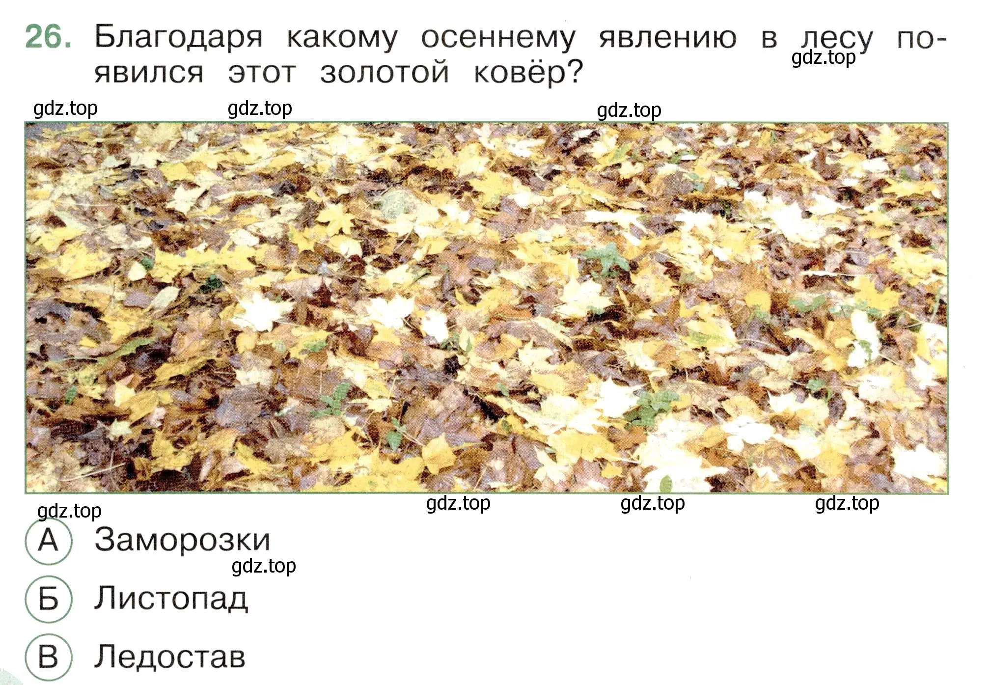 Условие номер 26 (страница 24) гдз по окружающему миру 2 класс Плешаков, Новицкая, тесты