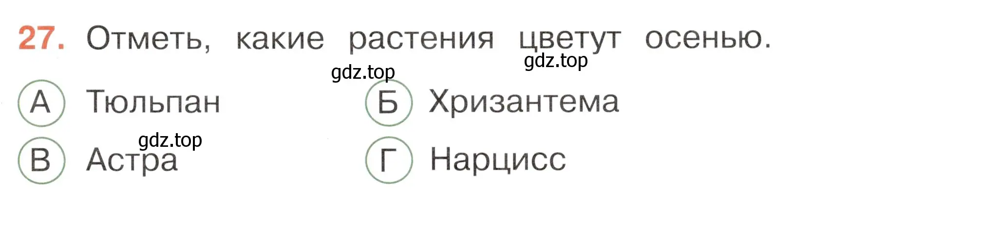 Условие номер 27 (страница 25) гдз по окружающему миру 2 класс Плешаков, Новицкая, тесты