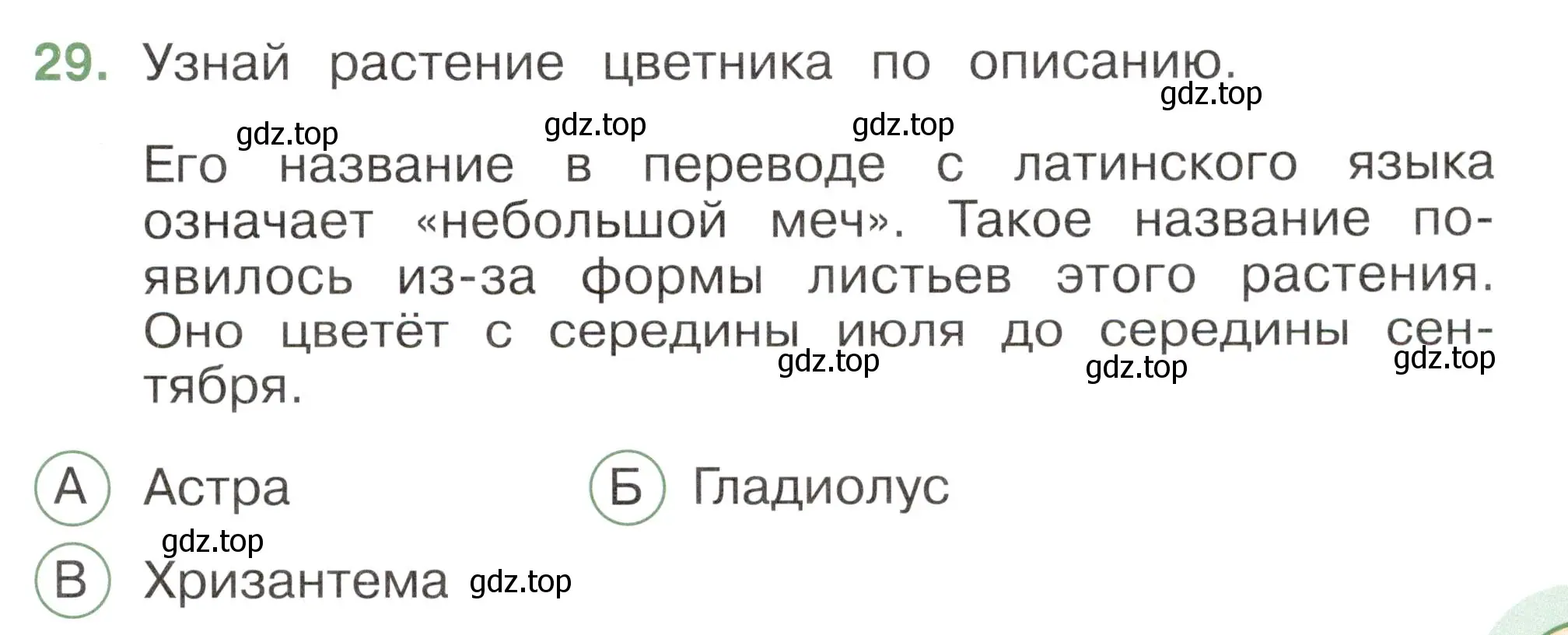 Условие номер 29 (страница 25) гдз по окружающему миру 2 класс Плешаков, Новицкая, тесты