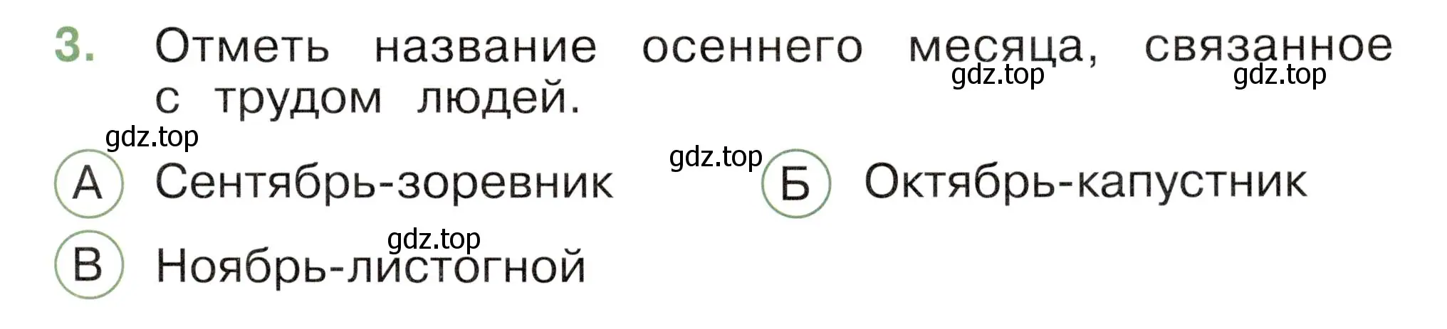 Условие номер 3 (страница 17) гдз по окружающему миру 2 класс Плешаков, Новицкая, тесты