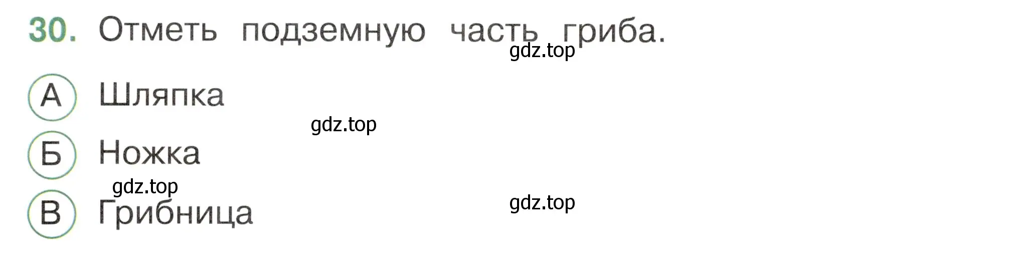 Условие номер 30 (страница 26) гдз по окружающему миру 2 класс Плешаков, Новицкая, тесты