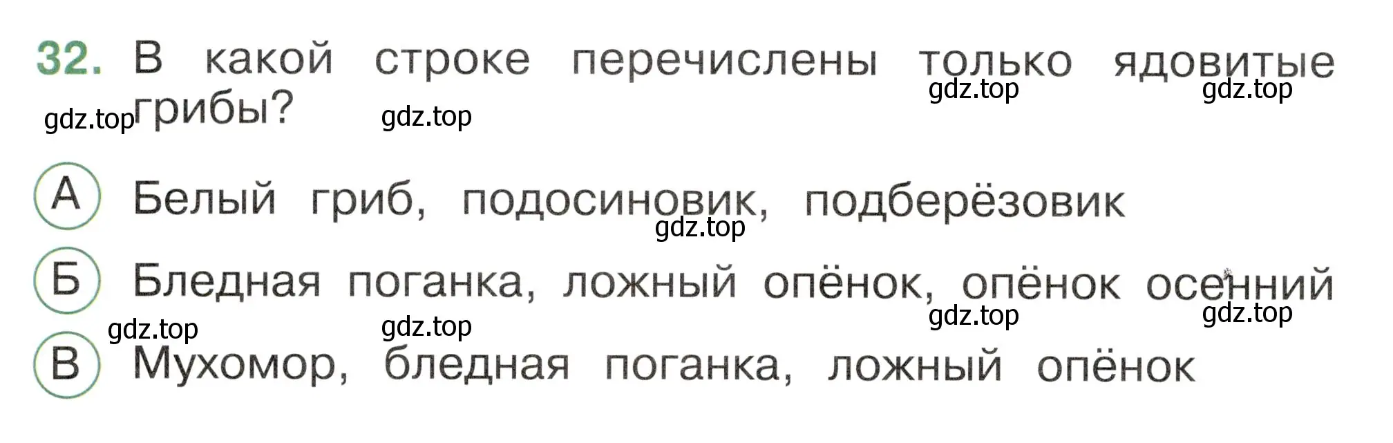 Условие номер 32 (страница 26) гдз по окружающему миру 2 класс Плешаков, Новицкая, тесты