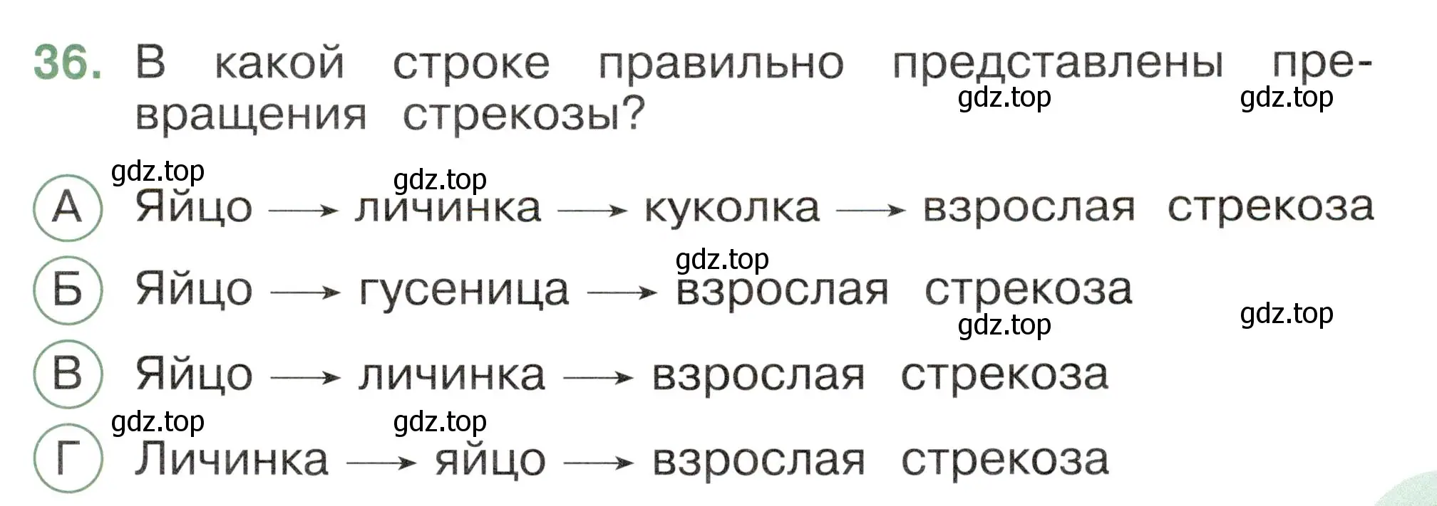 Условие номер 36 (страница 27) гдз по окружающему миру 2 класс Плешаков, Новицкая, тесты