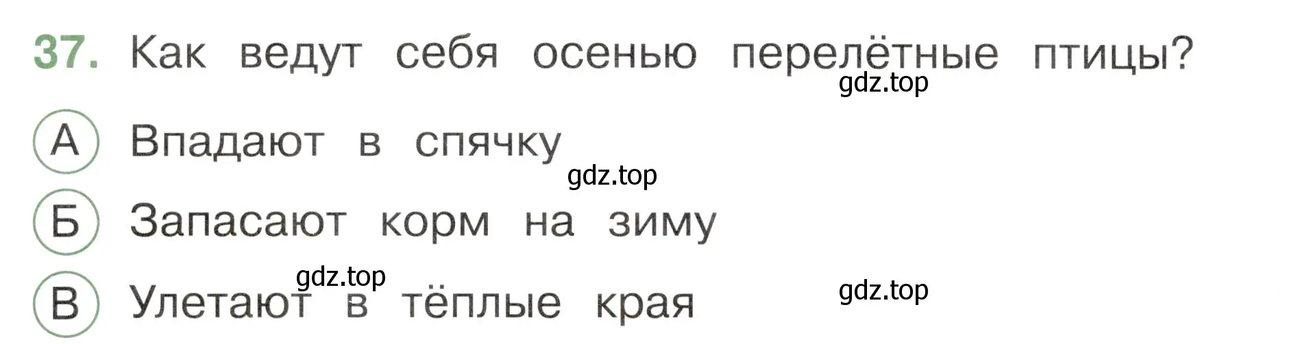 Условие номер 37 (страница 28) гдз по окружающему миру 2 класс Плешаков, Новицкая, тесты