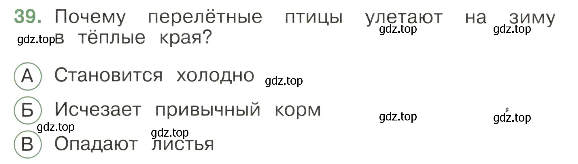 Условие номер 39 (страница 28) гдз по окружающему миру 2 класс Плешаков, Новицкая, тесты