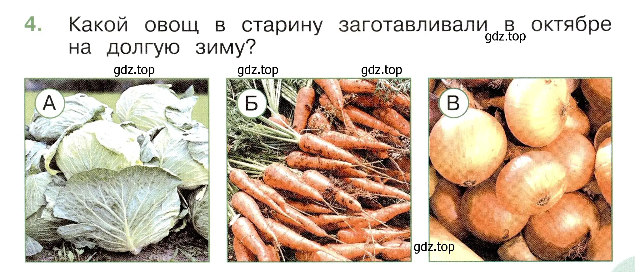 Условие номер 4 (страница 17) гдз по окружающему миру 2 класс Плешаков, Новицкая, тесты