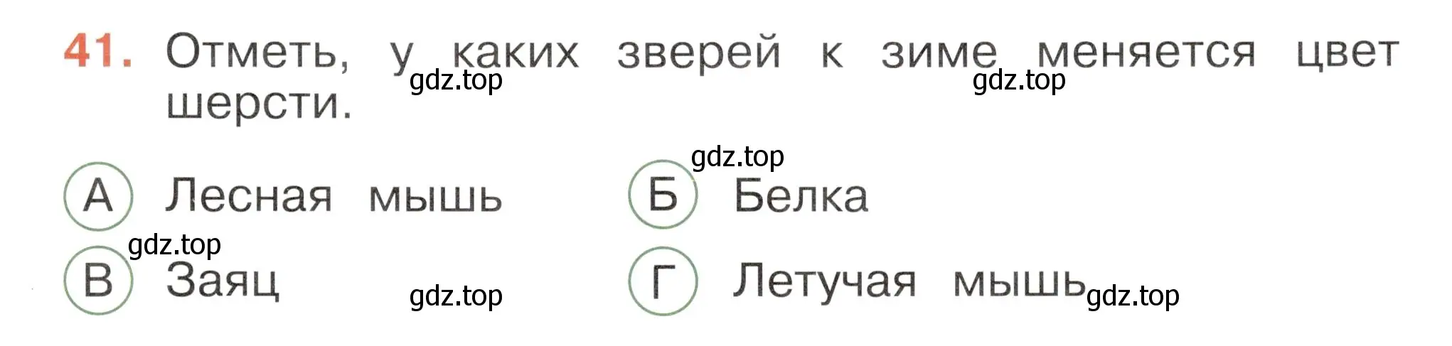 Условие номер 41 (страница 29) гдз по окружающему миру 2 класс Плешаков, Новицкая, тесты