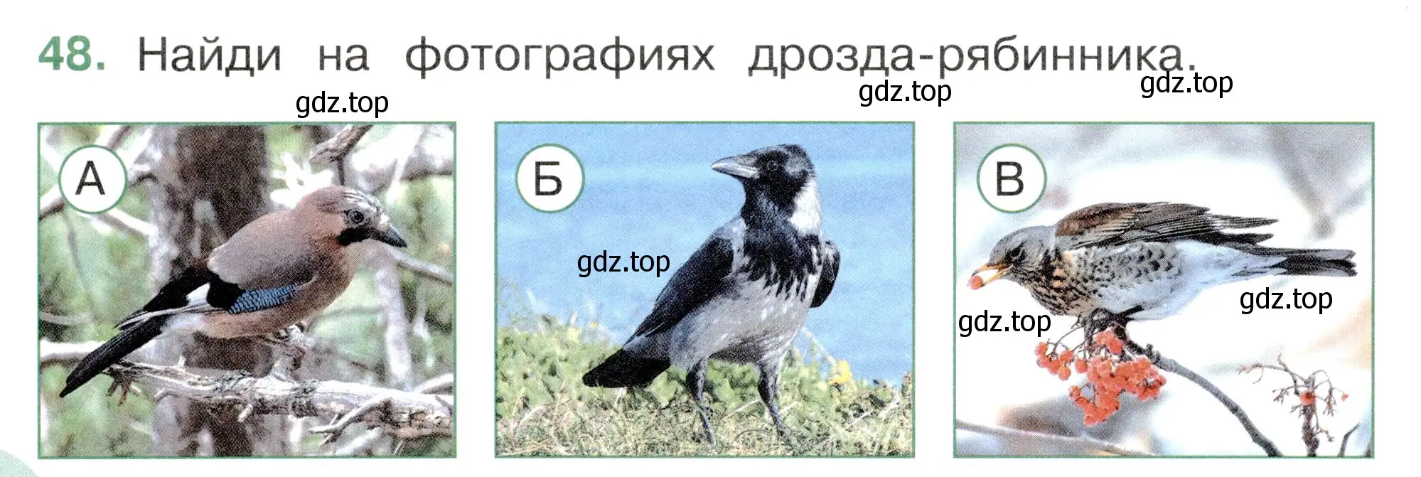 Условие номер 48 (страница 30) гдз по окружающему миру 2 класс Плешаков, Новицкая, тесты