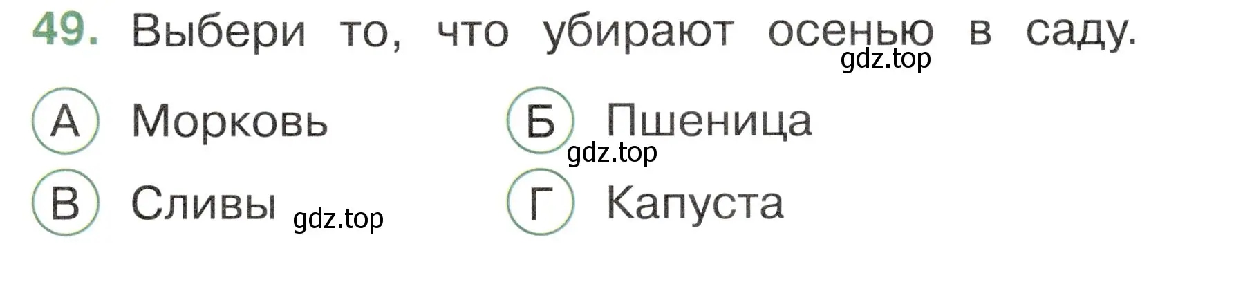 Условие номер 49 (страница 31) гдз по окружающему миру 2 класс Плешаков, Новицкая, тесты