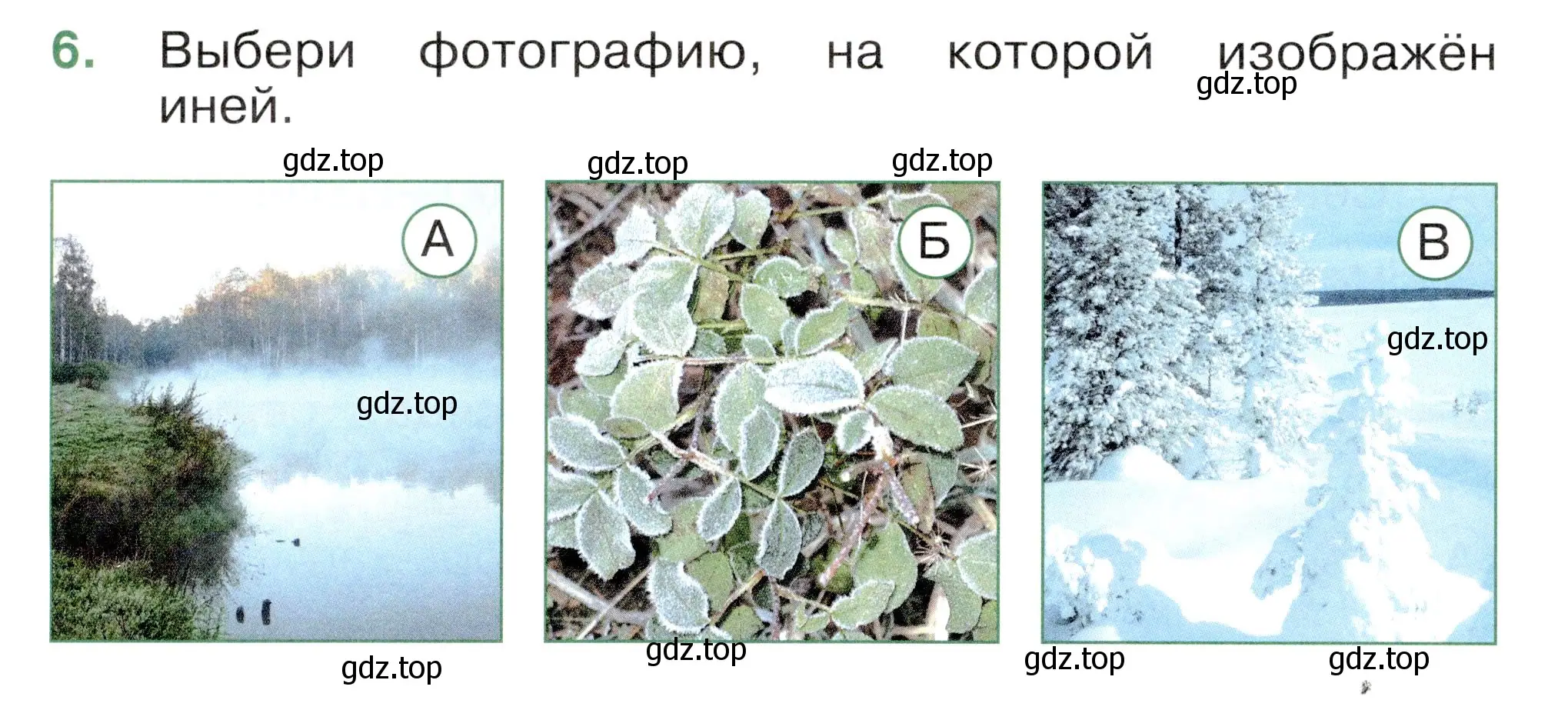 Условие номер 6 (страница 18) гдз по окружающему миру 2 класс Плешаков, Новицкая, тесты