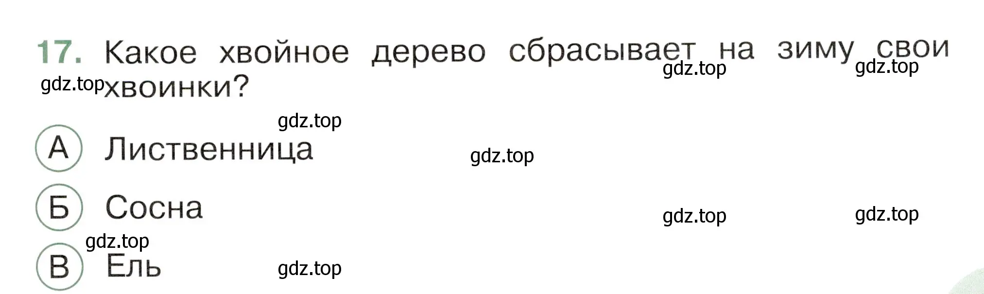 Условие номер 17 (страница 41) гдз по окружающему миру 2 класс Плешаков, Новицкая, тесты