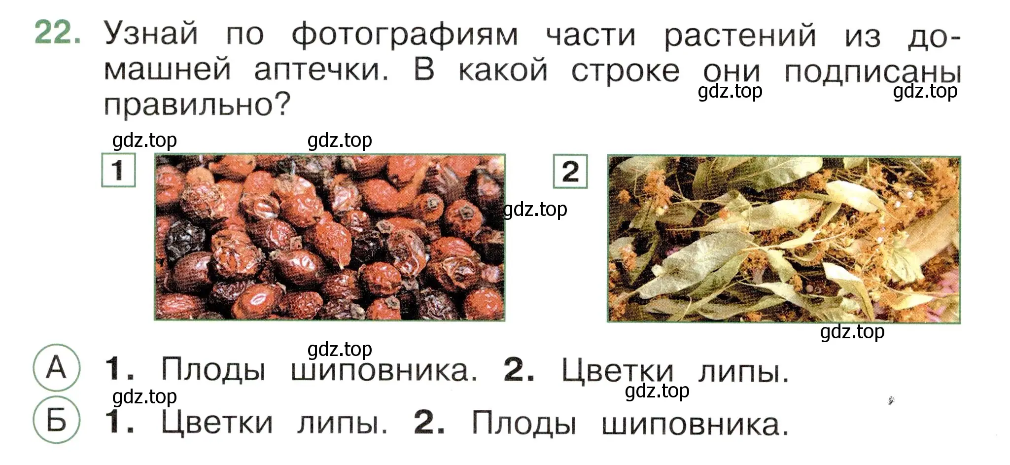 Условие номер 22 (страница 44) гдз по окружающему миру 2 класс Плешаков, Новицкая, тесты