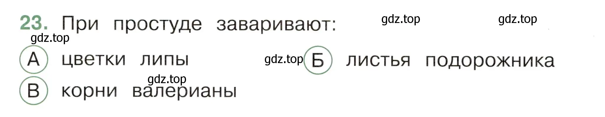 Условие номер 23 (страница 44) гдз по окружающему миру 2 класс Плешаков, Новицкая, тесты