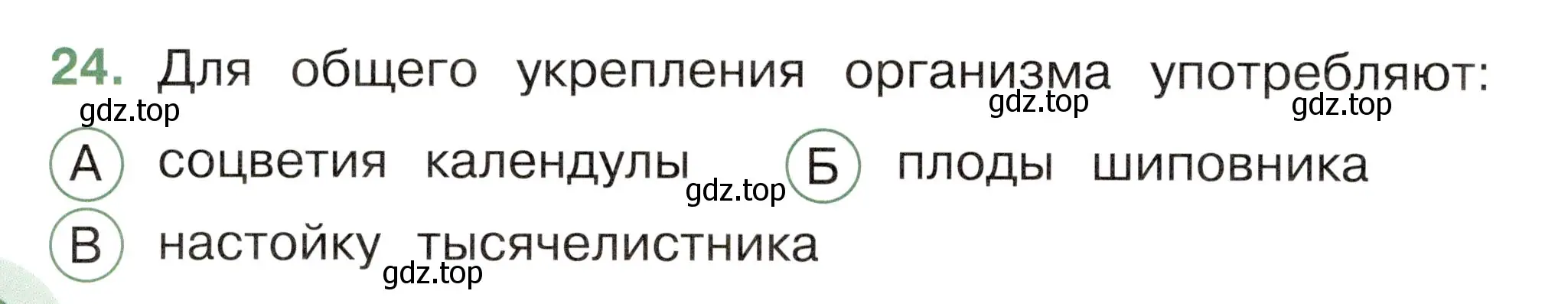 Условие номер 24 (страница 44) гдз по окружающему миру 2 класс Плешаков, Новицкая, тесты